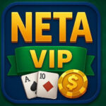Neta vip app